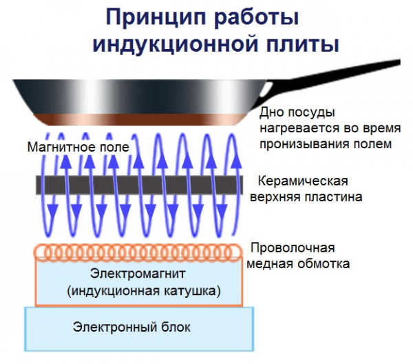 Огромные плюсы и маленькие минусы индукционных плит