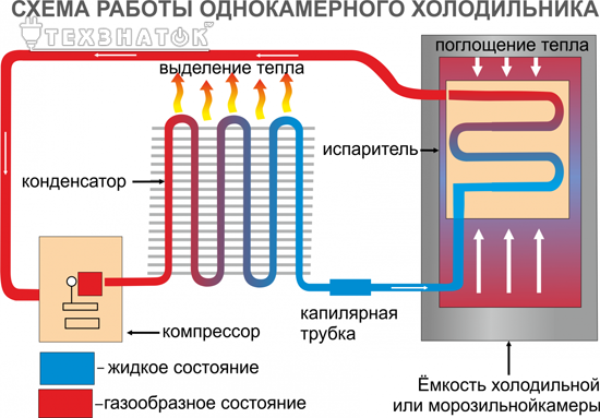 Принцип работы и устройство современных холодильников