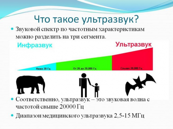 Каков он, ультразвуковой отпугиватель мышей и крыс