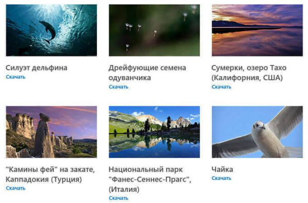Персонализация Windows 10: откуда скачать темы и обои Майкрософт